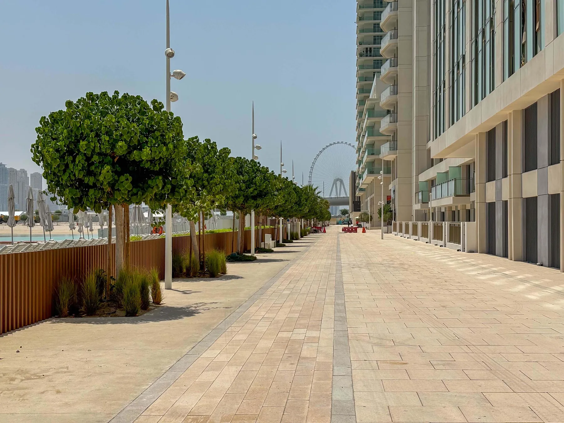 Un paseo exterior pavimentado bordea un edificio moderno y una hilera de árboles.