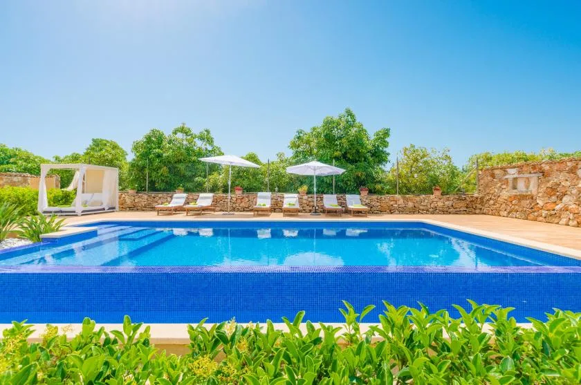 An outdoor swimming pool is bordered by lounge seating, umbrellas, and greenery.