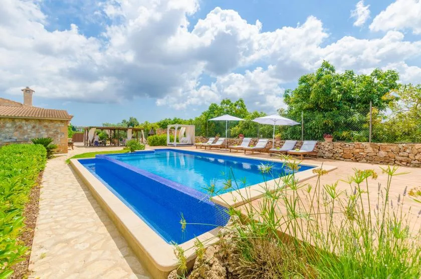 An outdoor swimming pool is surrounded by lounge seating and greenery.
