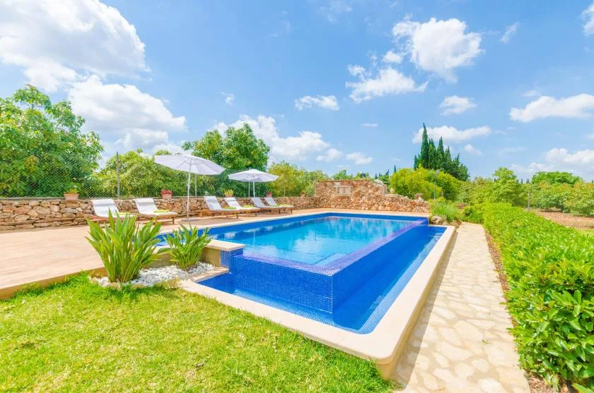 An outdoor swimming pool sits beside a stone walkway and landscaped greenery.