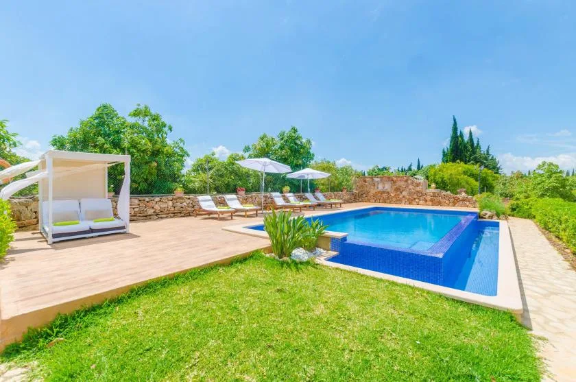 An outdoor swimming pool beside a sunny patio with loungers and greenery.