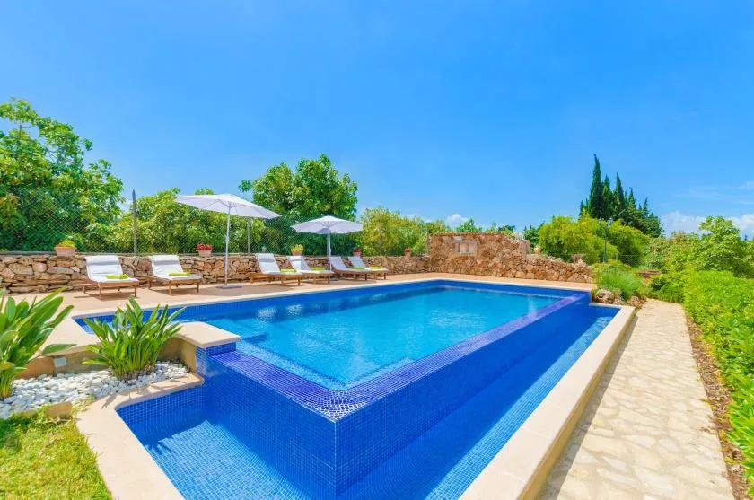 An outdoor swimming pool is surrounded by stone paving and greenery.