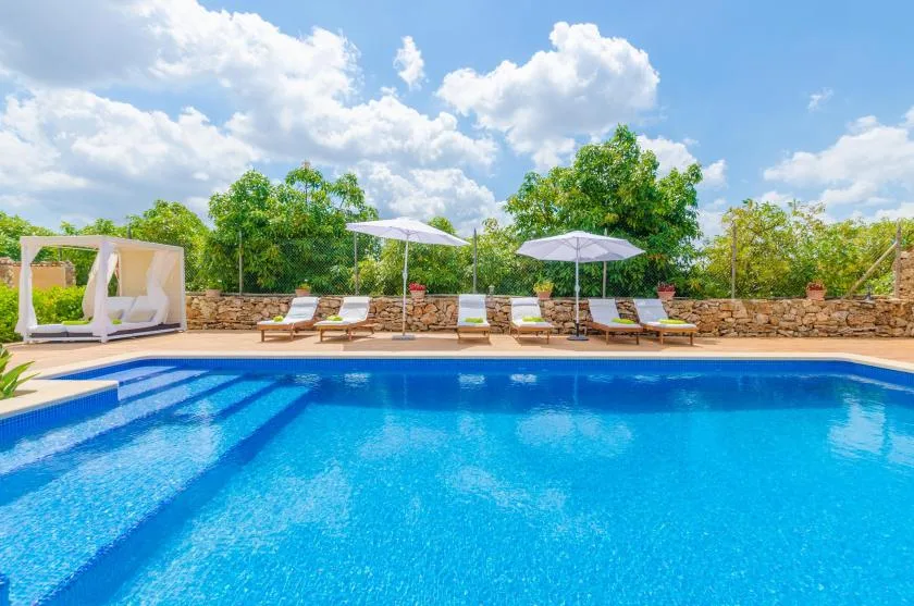 An outdoor swimming pool with loungers and umbrellas along the far side.