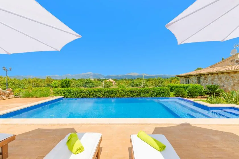 A swimming pool beside a sunlit patio with loungers and greenery.