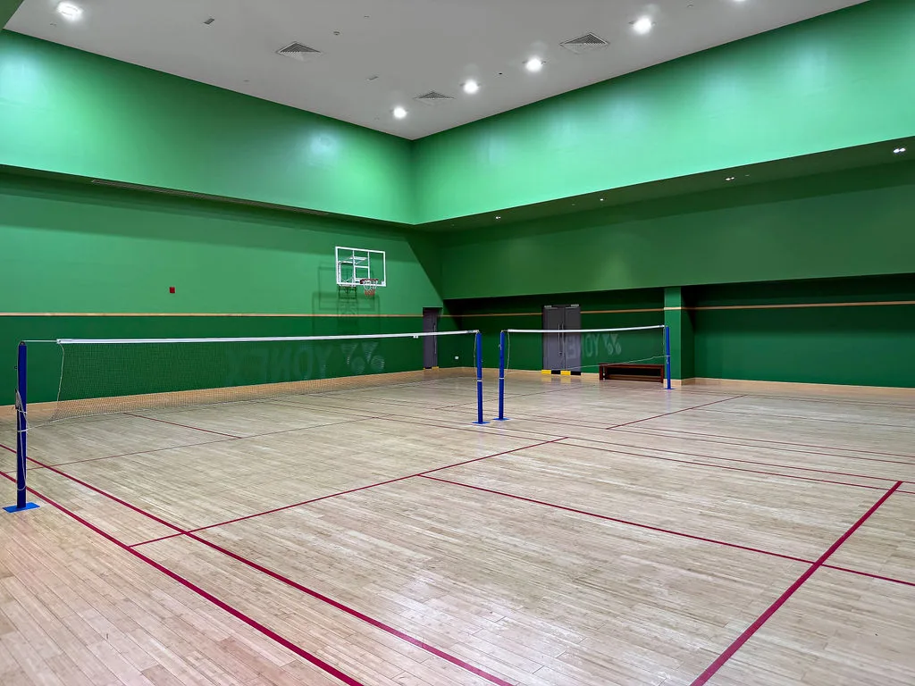 Indoor sports court with a net and painted boundary lines.