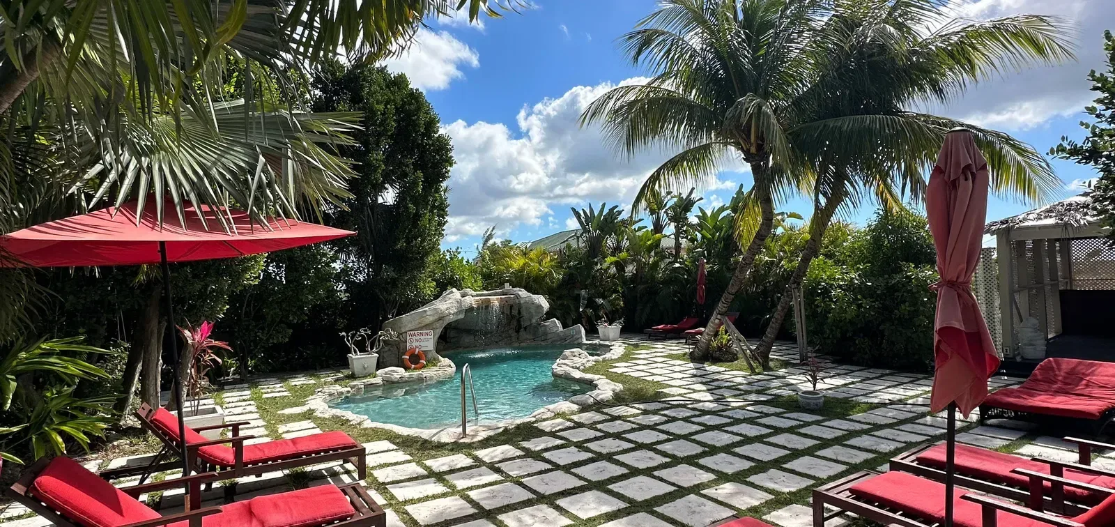 Zona de descanso junto a la piscina con tumbonas y sombrillas rojas entre palmeras