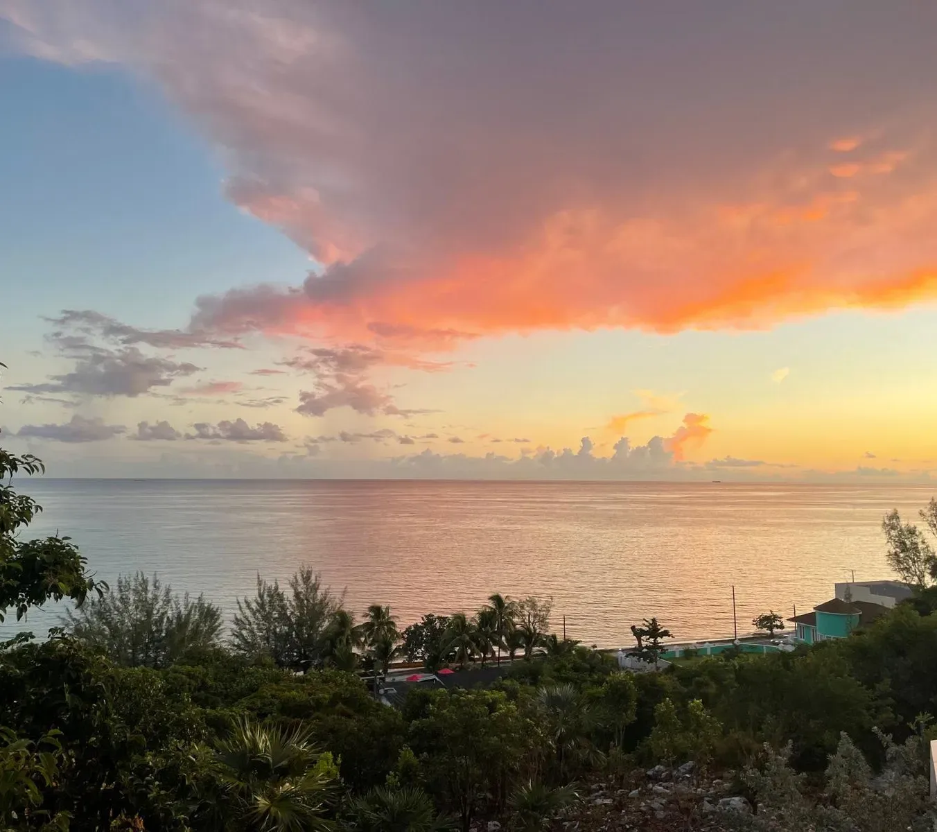 Atardecer sobre los árboles y el océano