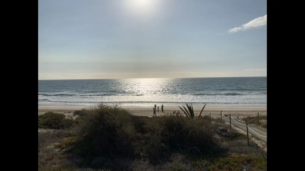 Una playa soleada con olas del mar y un sendero entre la vegetación costera.