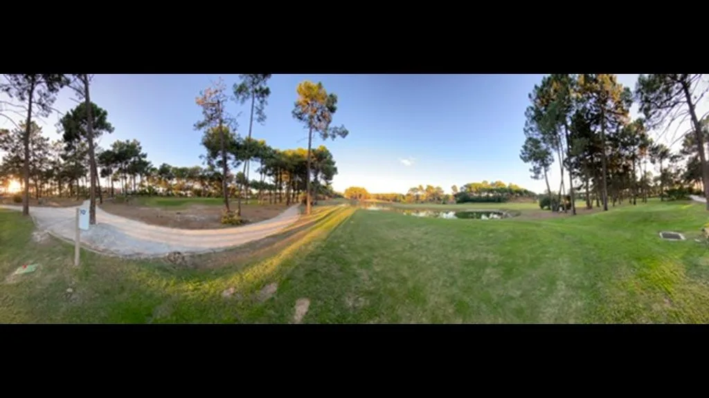 Un parque con césped, un camino pavimentado y árboles dispersos bajo un cielo despejado.