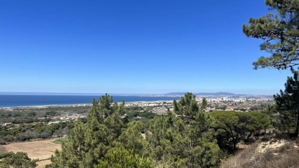 Paisaje costero con el mar, vegetación en la ladera y edificios a lo lejos.