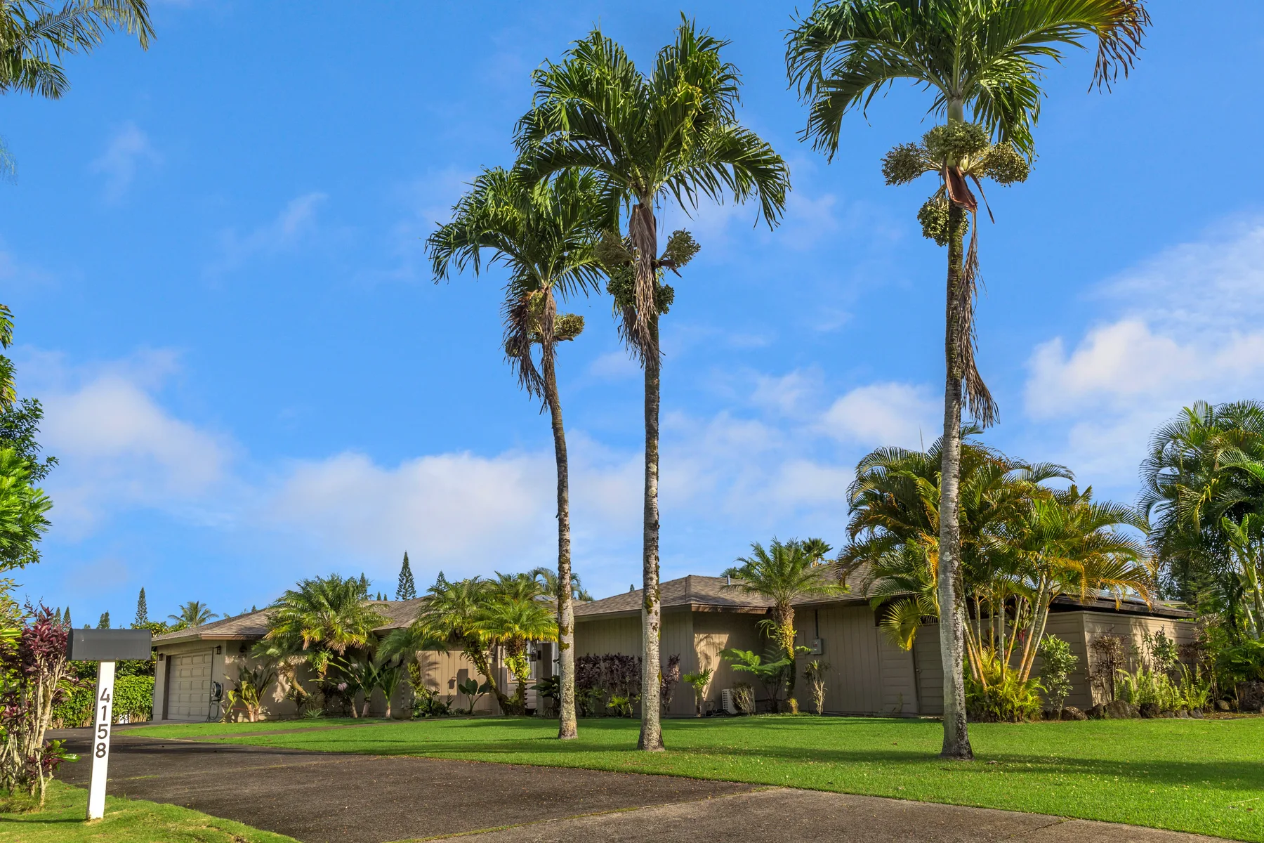 A low building sits behind a green lawn and several tall palm trees.