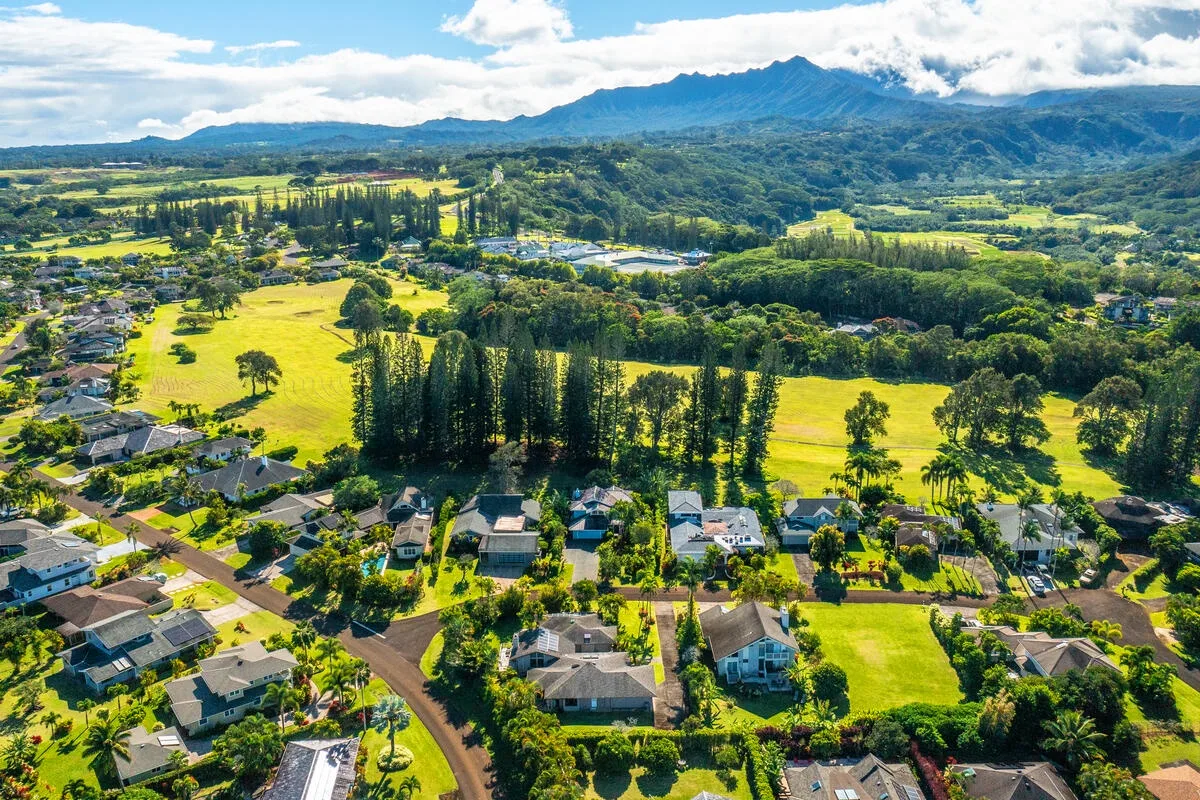 Aerial view of a green residential neighborhood with mountains in the distance.