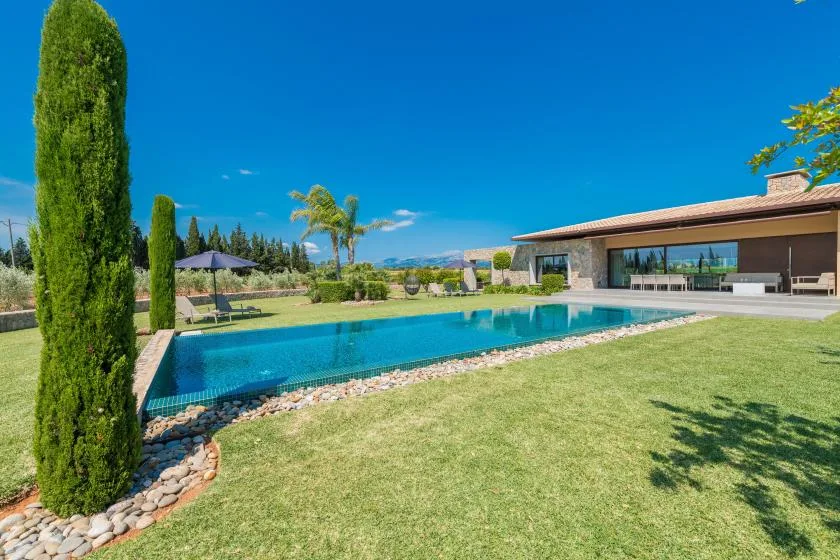 Outdoor swimming pool beside a modern house, with a lawn and tall trees.