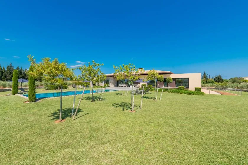 A modern house overlooks a broad lawn with young trees and a swimming pool.
