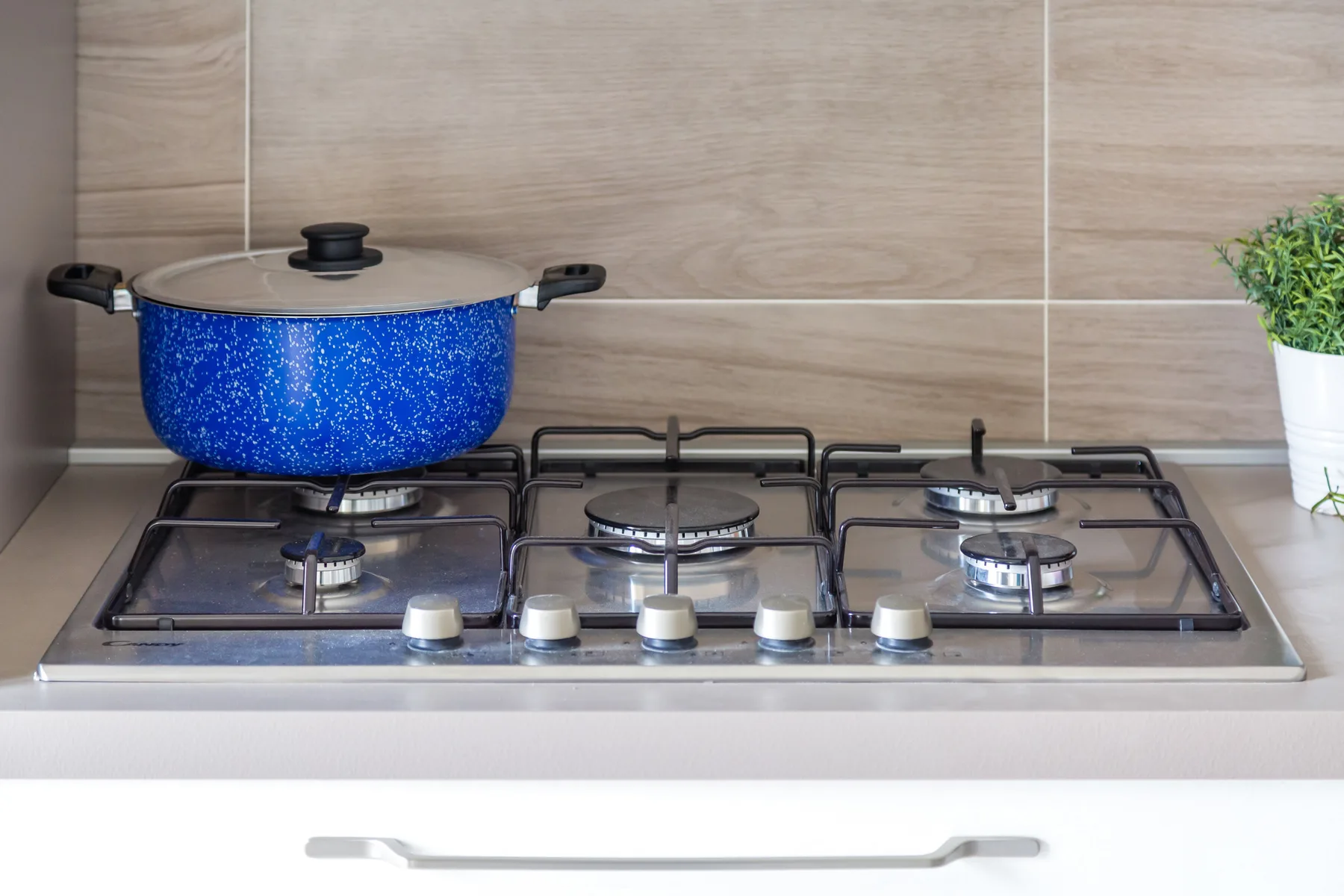 A kitchen cooktop with a blue pot and a small potted plant nearby.