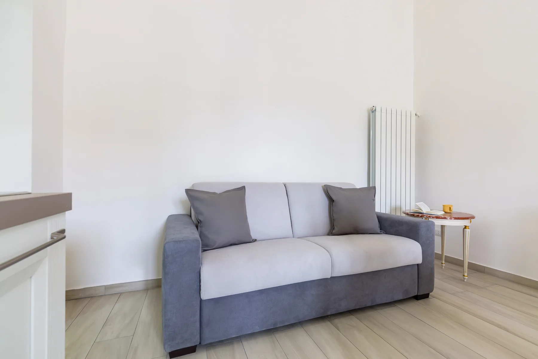 A living room with a gray sofa and a radiator against the wall.