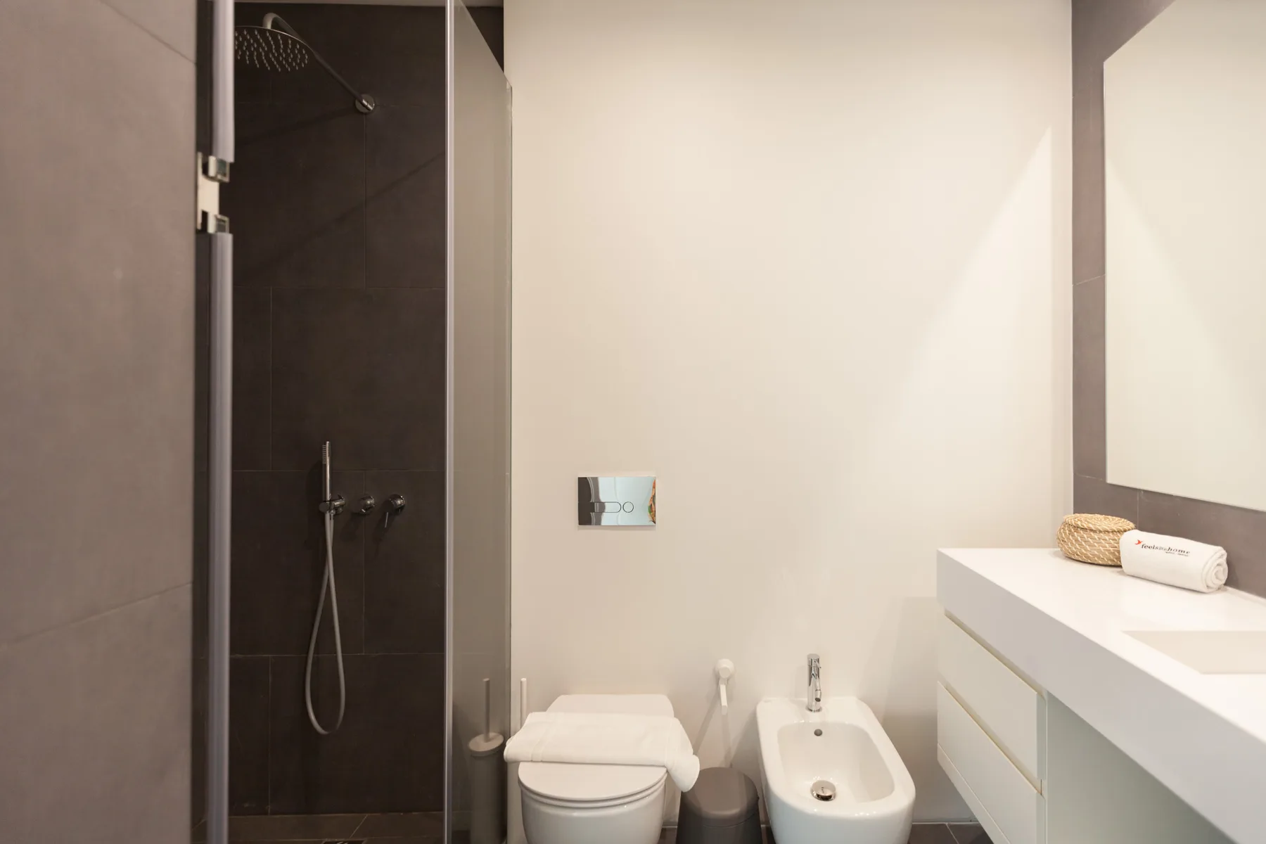 A modern bathroom with a dark shower area, toilet, and white vanity.