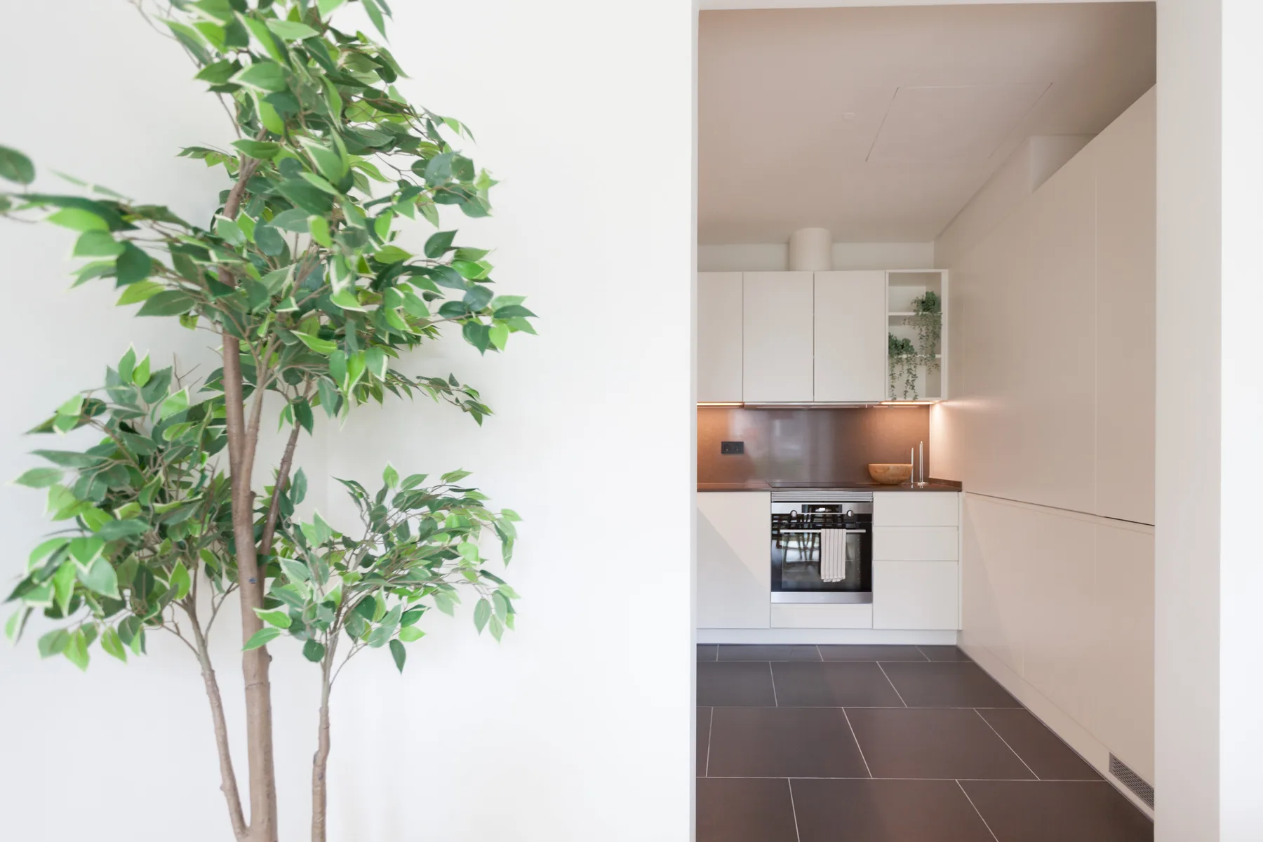 A bright kitchen is visible through an opening beside a leafy indoor tree.