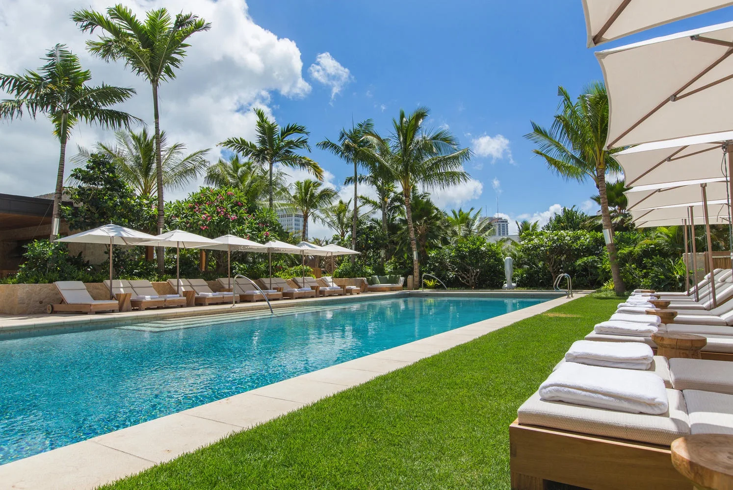 Outdoor swimming pool beside a green lawn, with lounge seating and palm trees.