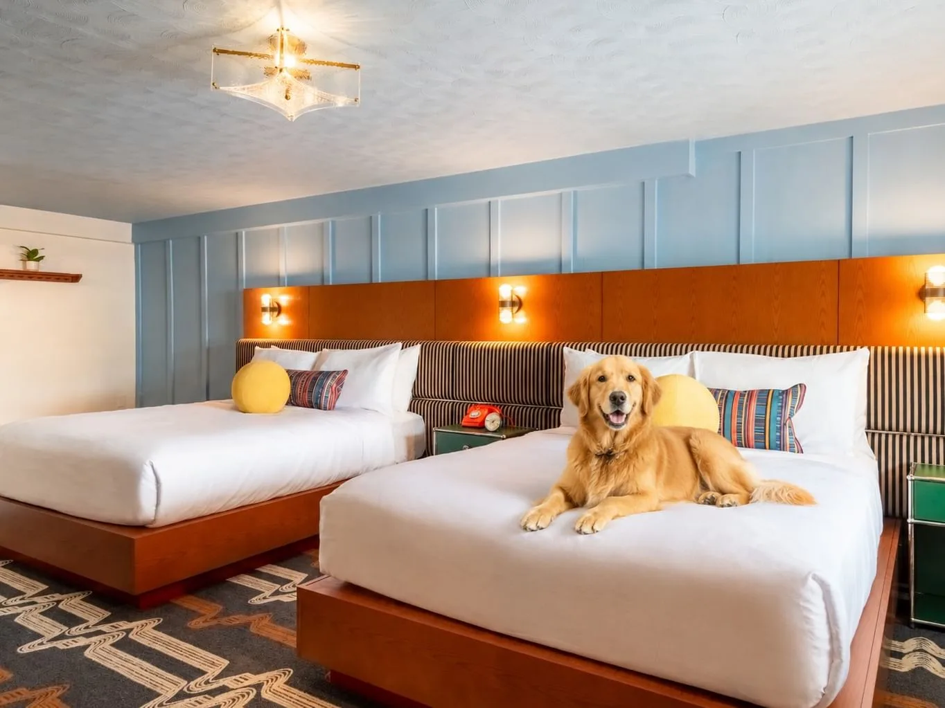 Driftaway Hotel & Pool