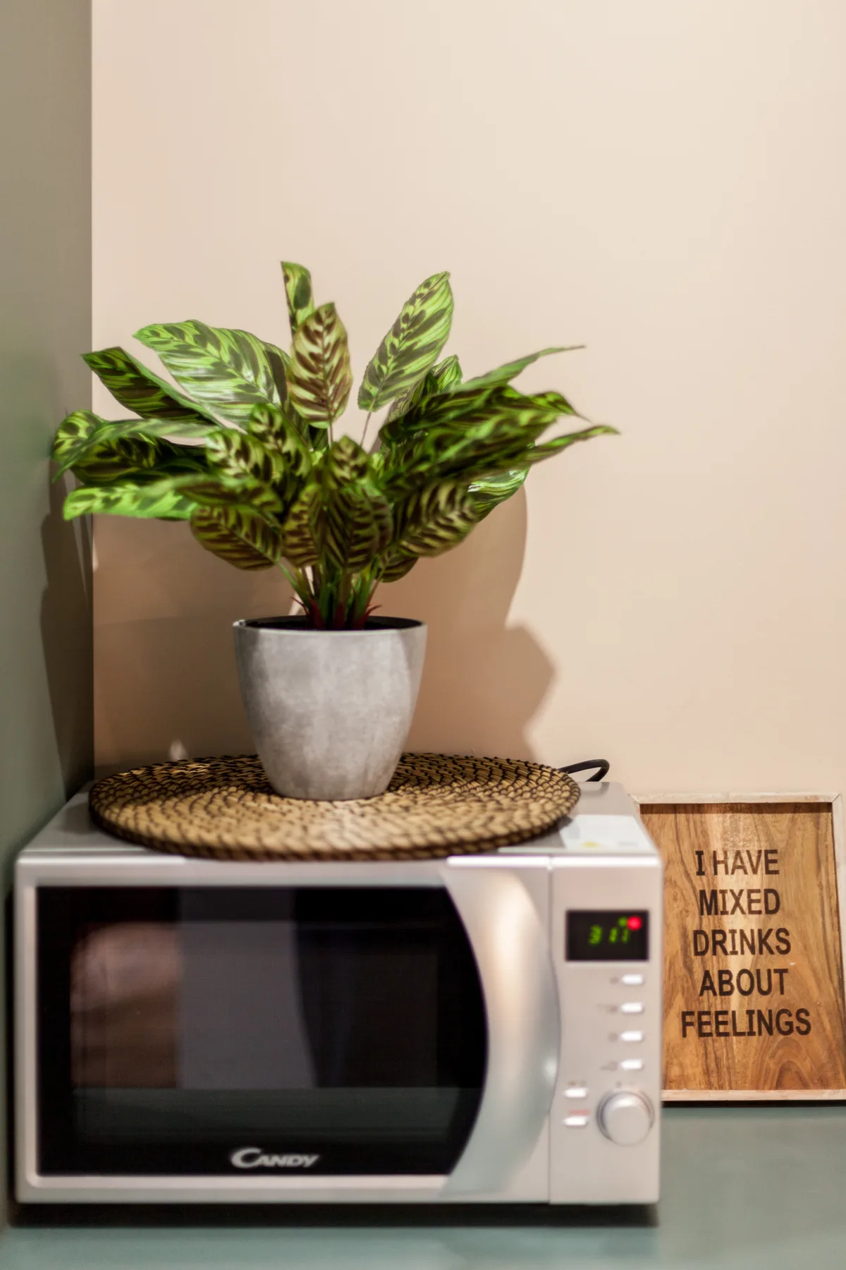 A potted plant sits on a microwave beside a framed quote.