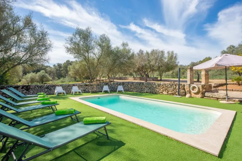 An outdoor swimming pool beside green loungers, with trees and a stone wall beyond.