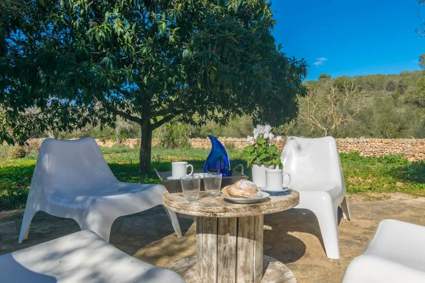 An outdoor seating area with a round table set beneath a leafy tree.