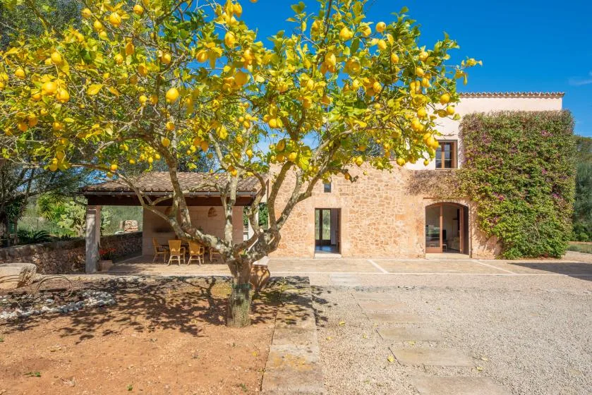A stone house and shaded outdoor seating beneath a fruit tree.