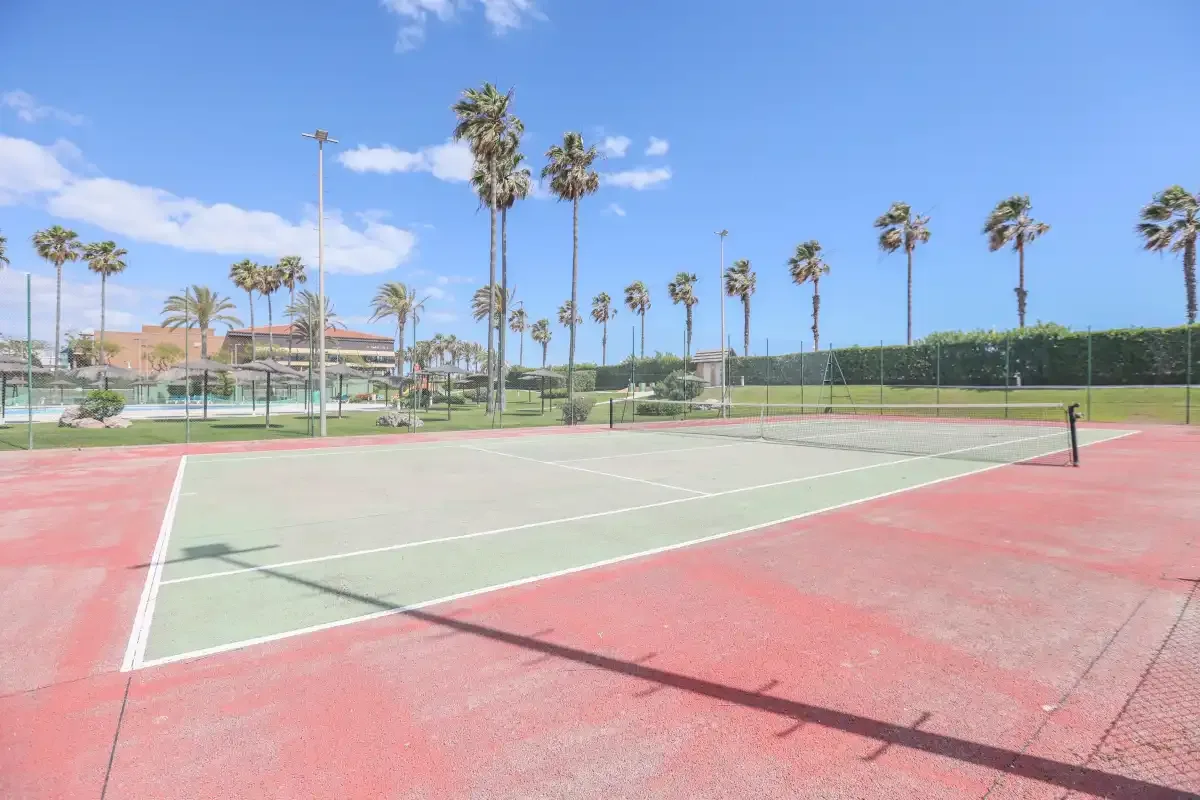 An outdoor tennis court with palm trees and a clear blue sky.