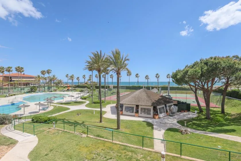 A landscaped outdoor recreation area has a swimming pool, a small pavilion, and palm trees.