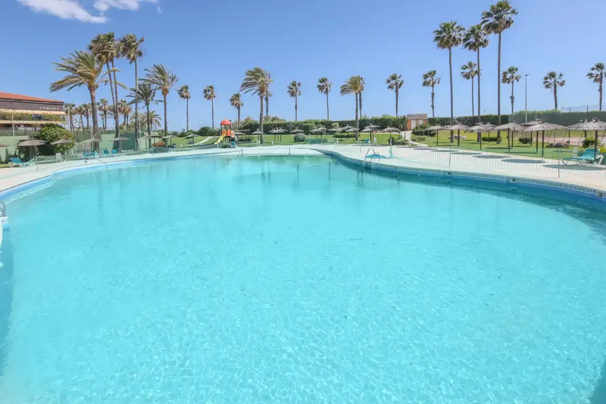 An outdoor swimming pool bordered by palm trees and lounge chairs.