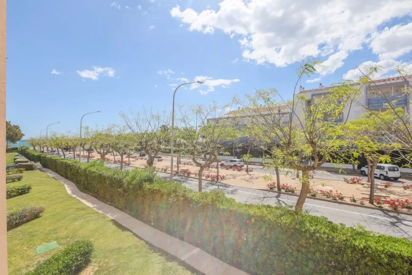 A landscaped roadside scene with a hedge, young trees, and buildings beyond.