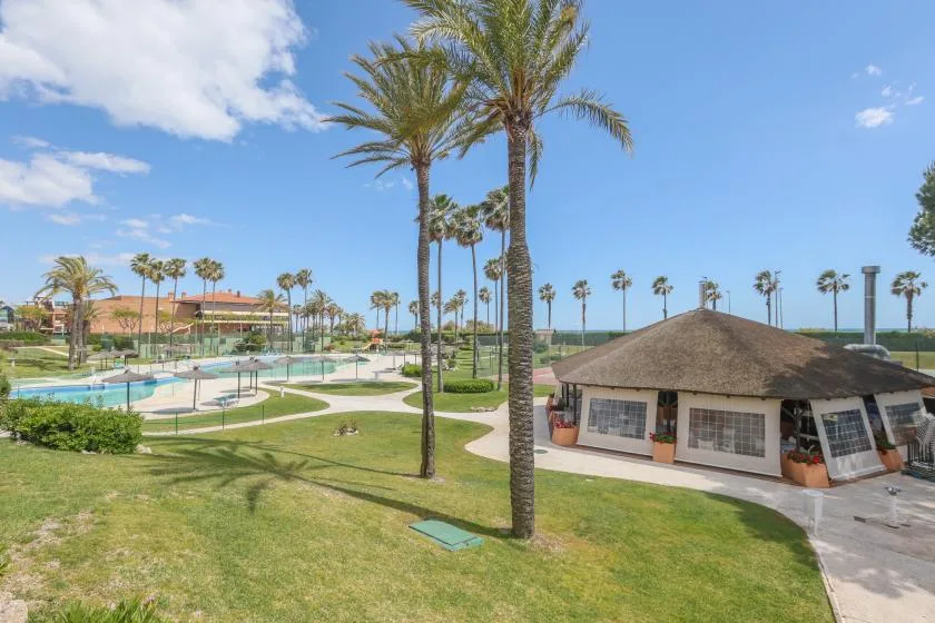 A landscaped outdoor pool area with a low building and palm trees.