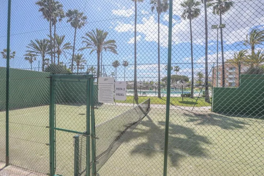 A fenced outdoor paddle court with palm trees and buildings in the background.