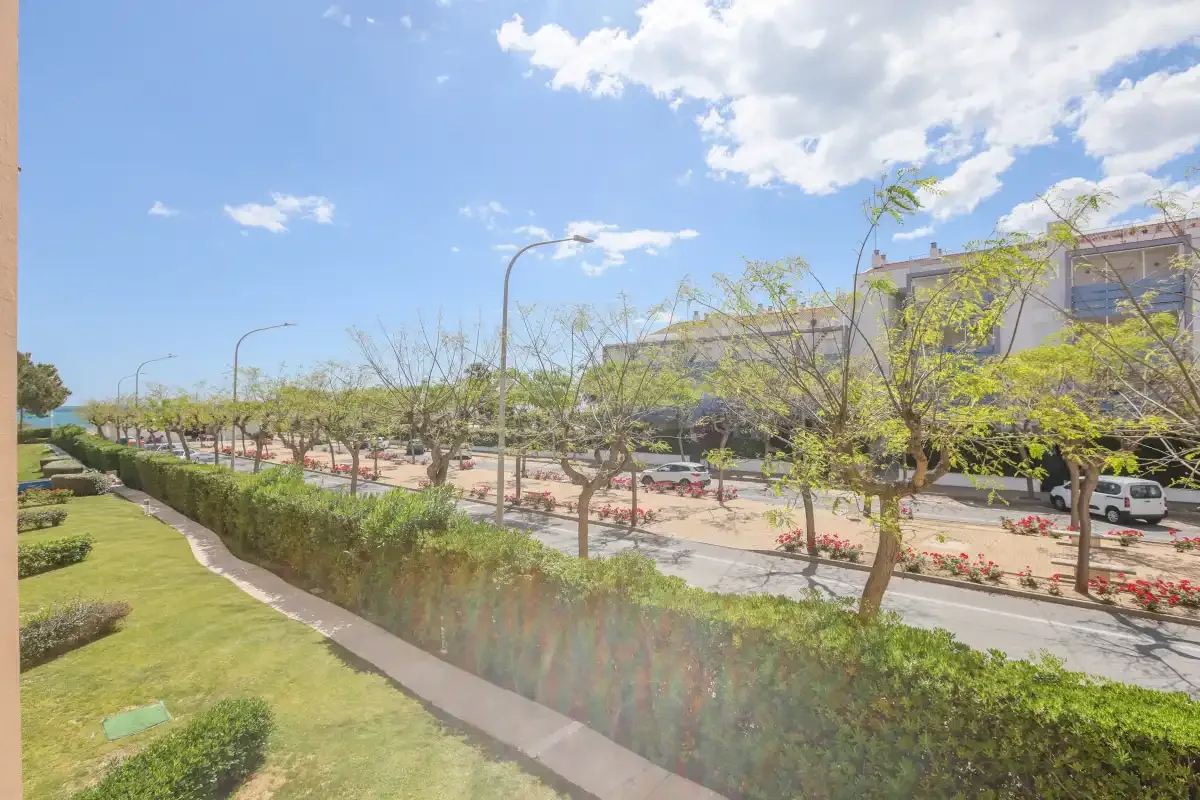 A landscaped roadside walkway runs beside trees, parked cars, and a low hedge.