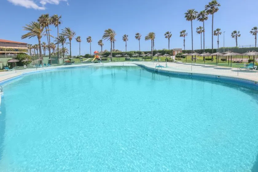 Outdoor swimming pool with palm trees and landscaped grounds.