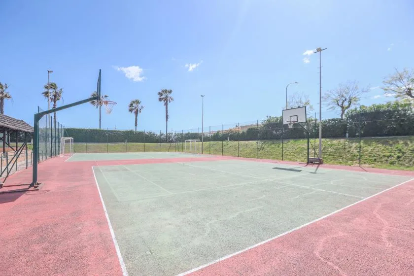 An outdoor basketball court with hoops, fencing, and palm trees under a clear sky.