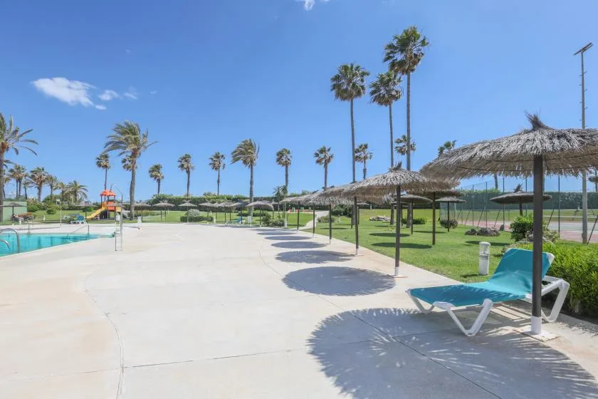 An outdoor poolside terrace with lounge chairs, thatched parasols, and palm trees.