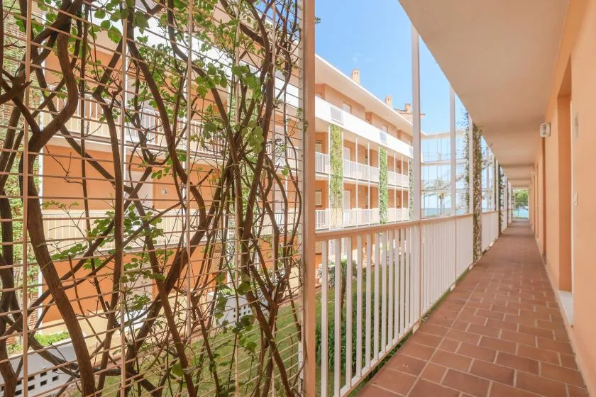A covered outdoor walkway with a railing and climbing plants.