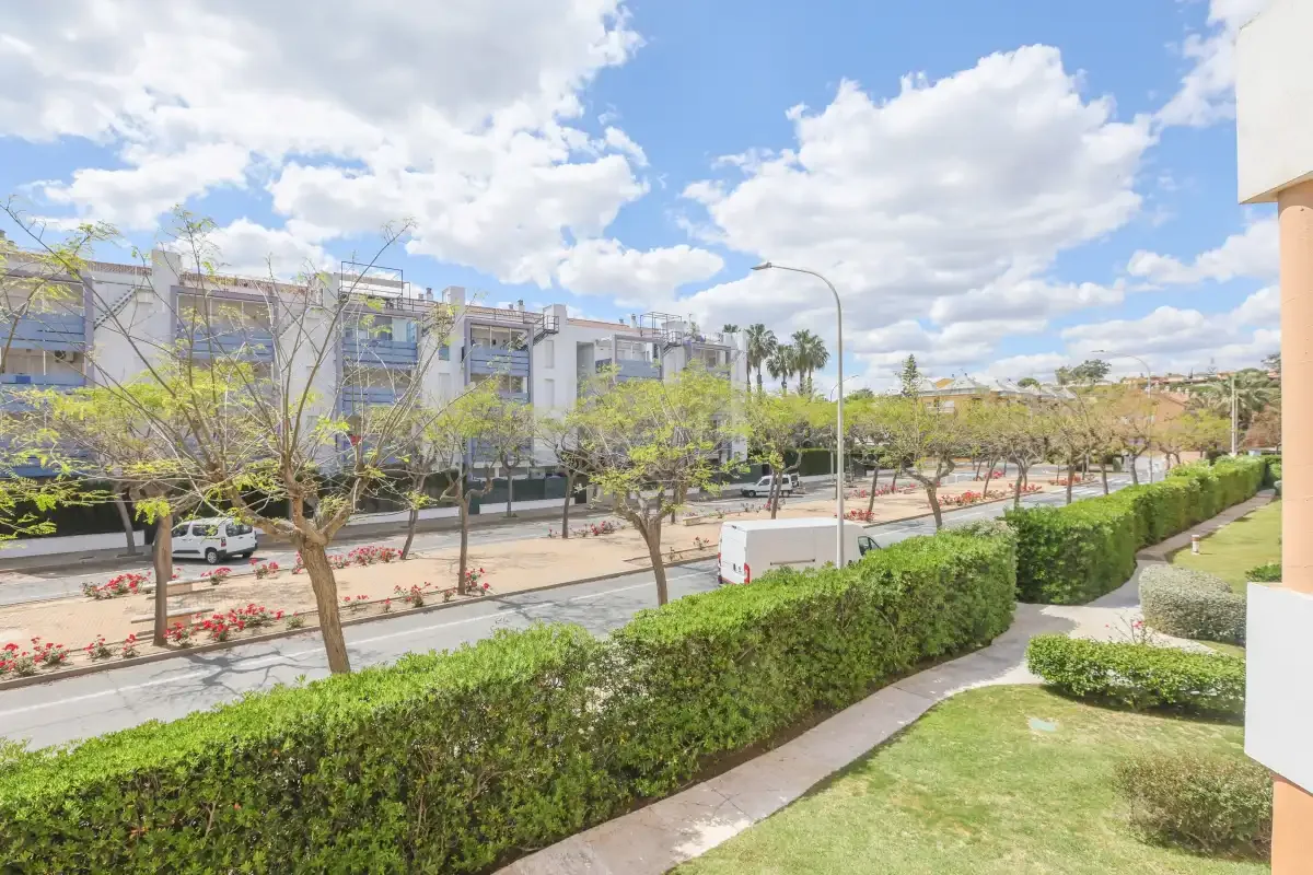 A landscaped outdoor walkway borders a street lined with trees and modern buildings.