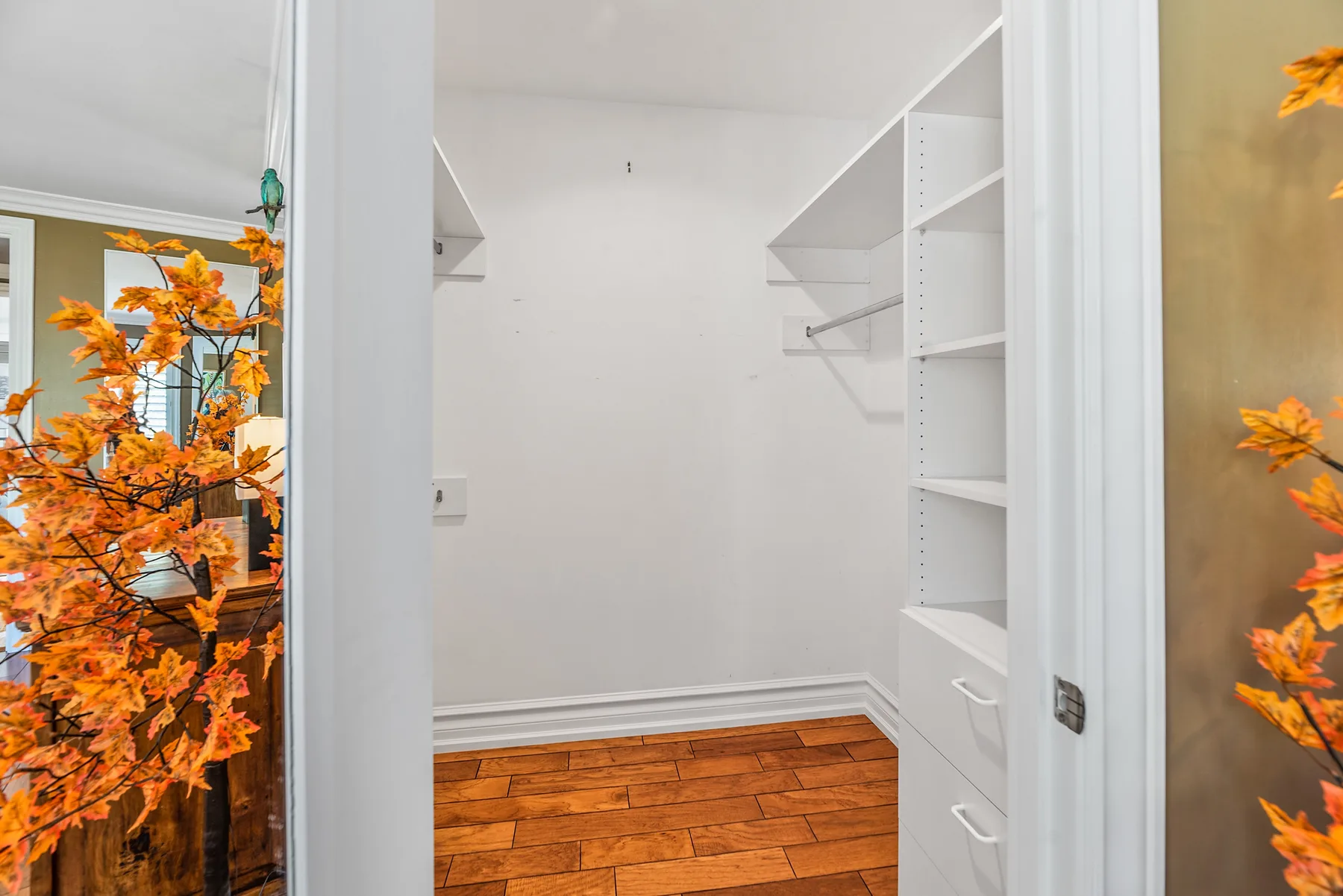 A walk-in closet with white built-in shelving and a wood floor.