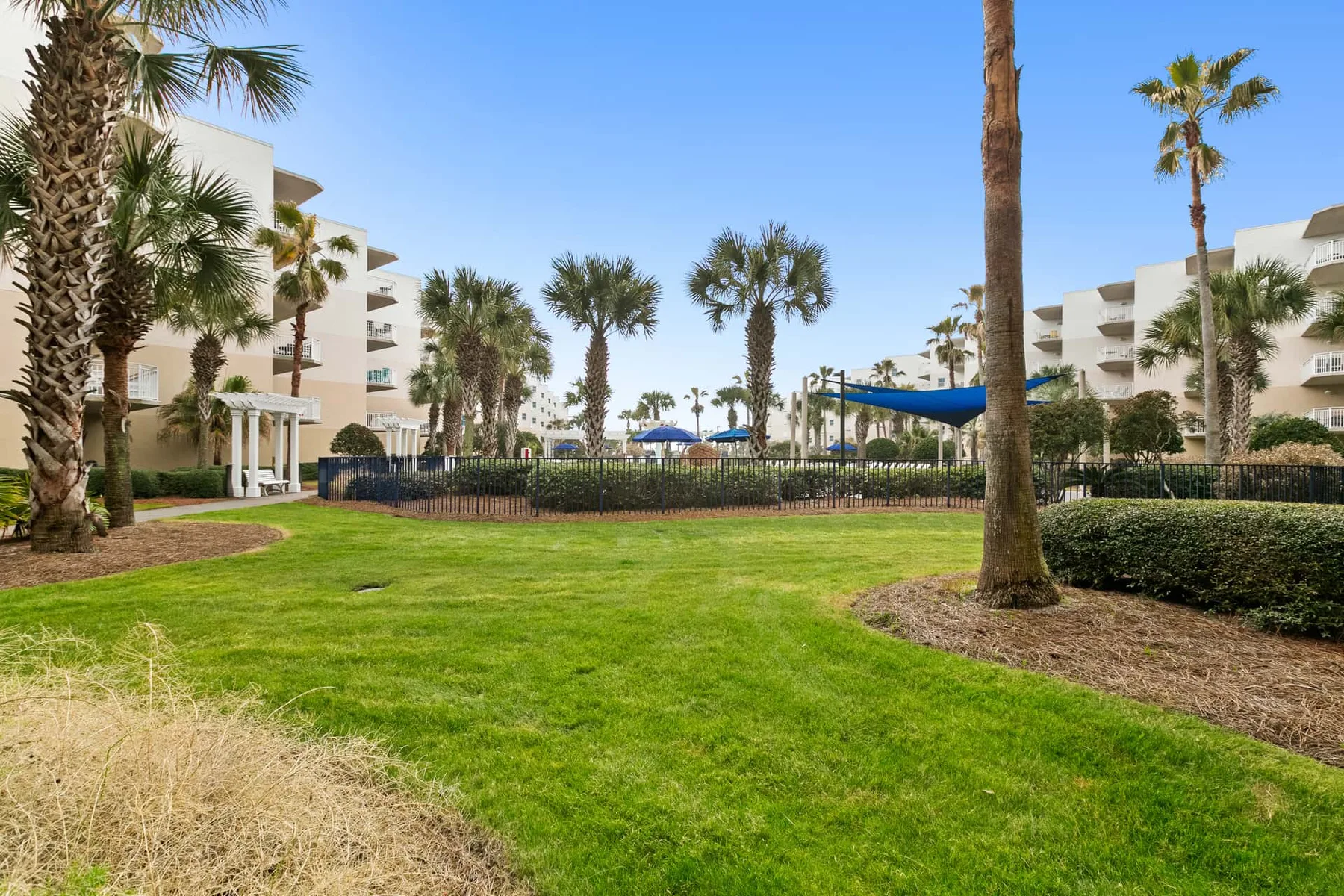 A landscaped courtyard with palm trees and apartment buildings around a lawn.