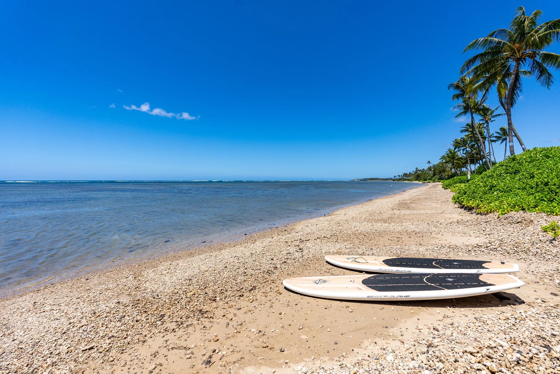 A sandy beach meets calm blue water, with two surfboards on the shore.