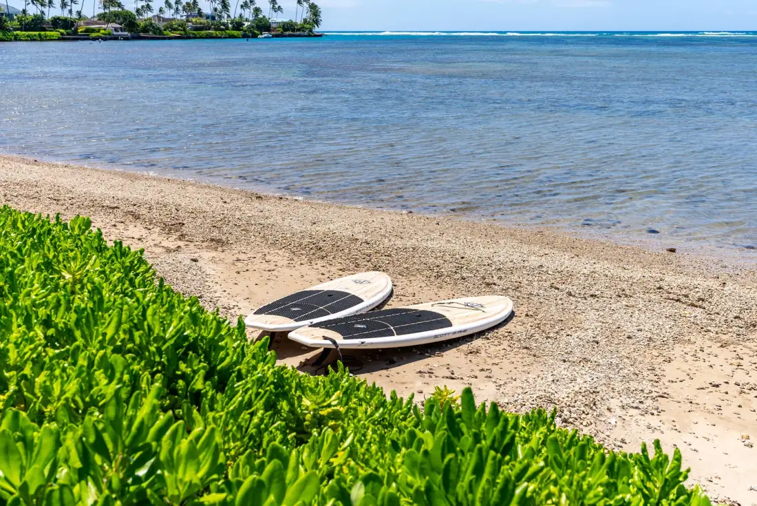 A sandy beach beside calm water, with two paddleboards resting near the shore.
