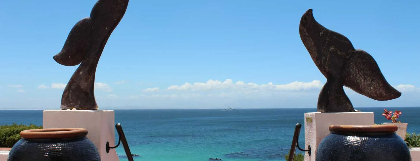 Whale View Manor & Spa