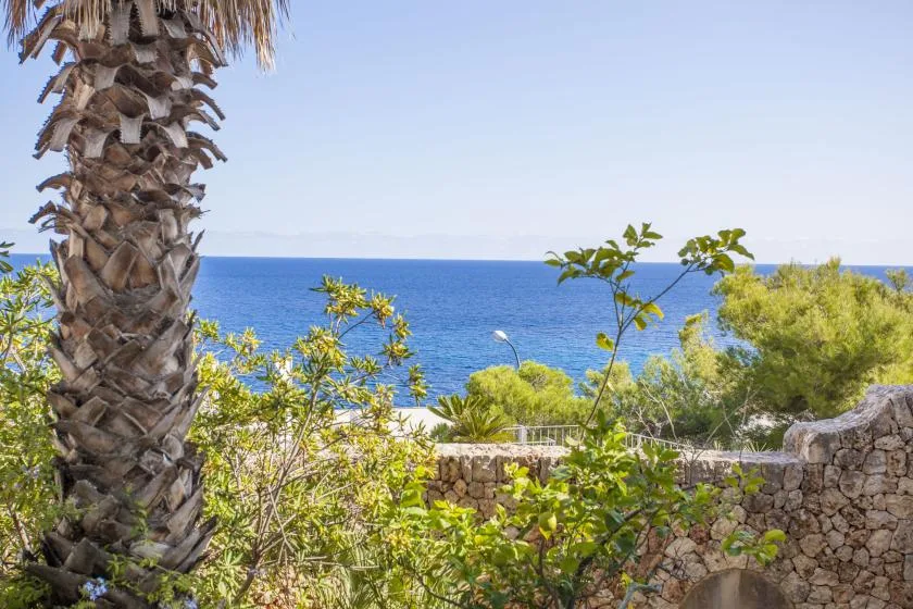A sea view framed by leafy trees and a stone wall.