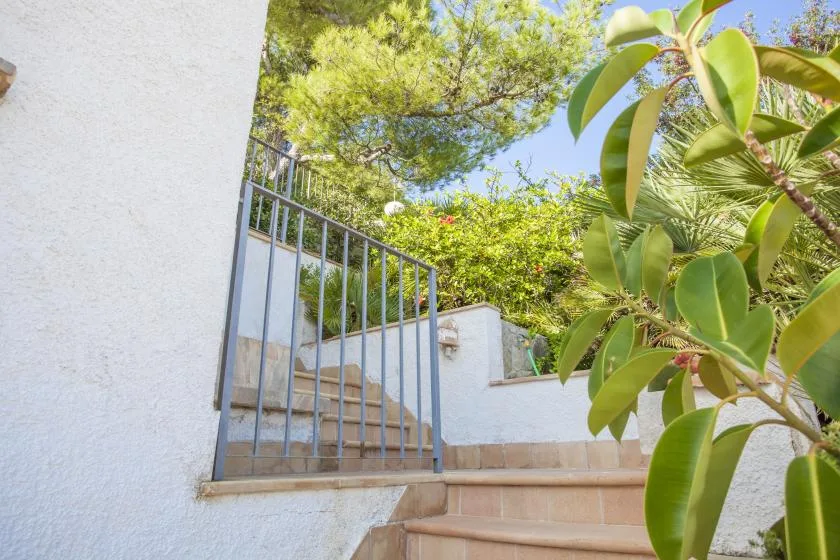 Outdoor steps lead to a metal gate beside lush greenery.