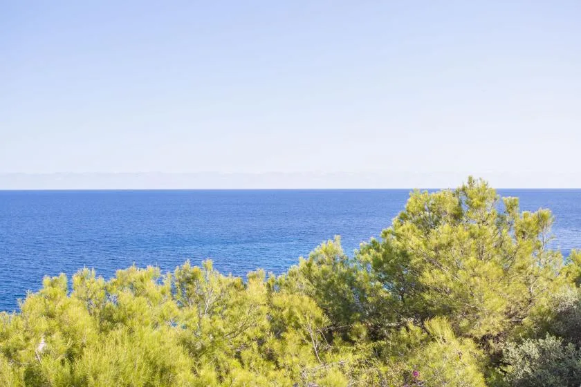 Green trees frame a blue sea beneath a clear sky.