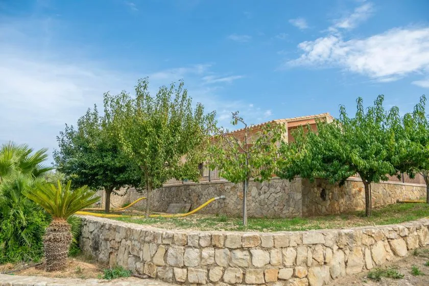 Jardín exterior con árboles frondosos y un muro bajo de piedra.