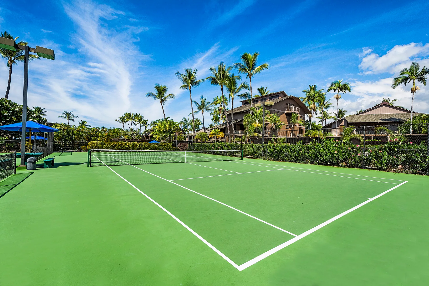 An outdoor tennis court sits among palm trees and resort buildings.